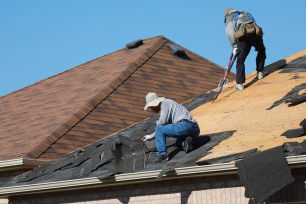Best Skylight Installation and Repair  in Broad Creek, NC