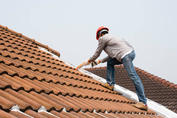 Best Roof Insulation Installation  in Broad Creek, NC