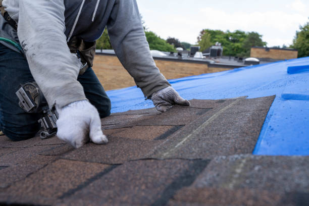 Best Commercial Roofing Services  in Broad Creek, NC